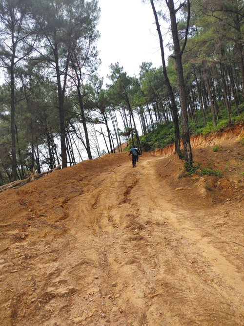 Con đường công vụ dốc quanh co dẫn đến vị trí cột 338. (Ảnh: TRUNG HƯNG)