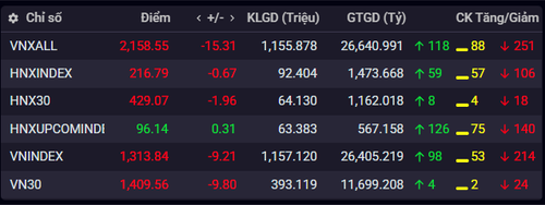 Chỉ số chứng khoán ngày 22/5.(Nguồn: iboard.ssi.com.vn)