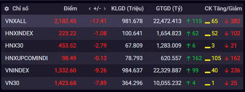 Chỉ số chứng khoán ngày 30/5.(Nguồn: iboard.ssi.com.vn)