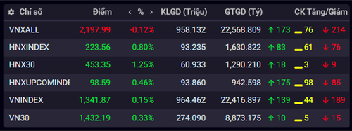 Chỉ số chứng khoán ngày 28/5.(Nguồn: iboard.ssi.com.vn)