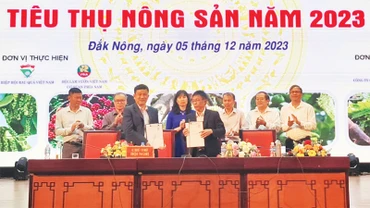Ký kết hợp tác giữa các hợp tác xã, Hội nông dân tỉnh với các doanh nghiệp trong nước về liên kết sản xuất, tiêu thụ sản phẩm nông nghiệp. 