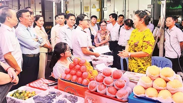 Ðoàn giám sát Ban Văn hóa-Xã hội, HÐND Thành phố Hồ Chí Minh giám sát vệ sinh an toàn thực phẩm tại chợ nông sản (thành phố Thủ Ðức) đêm 16/8/2024. 