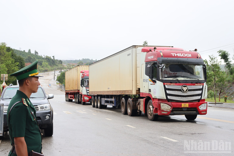 Hàng hóa thông quan qua cửa khẩu quốc tế Bờ Y, thúc đẩy phát triển kinh tế biên mậu. ndo_br_img-0778.jpg