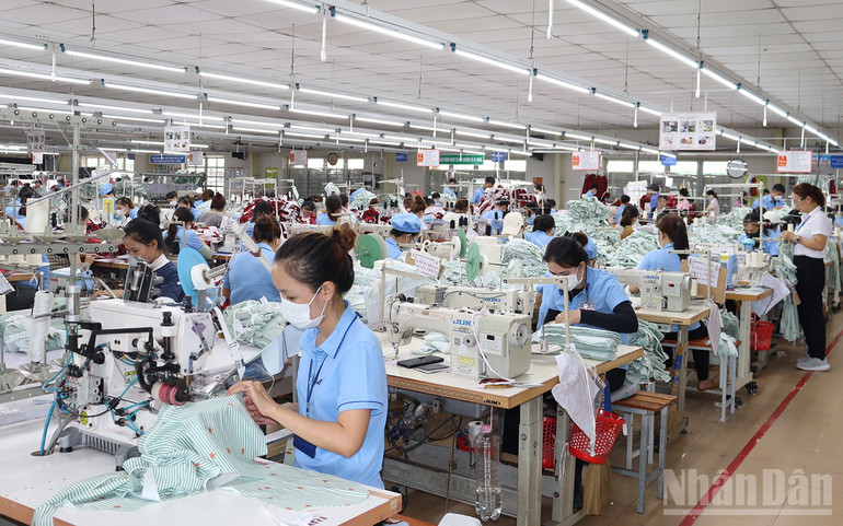 Sản xuất hàng may mặc xuất khẩu tại Nhà máy may Hòa Thọ Quảng Ngãi. ndo_br_img-1098.jpg