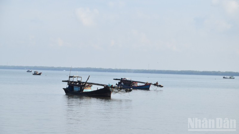Ngư dân khai thác hải sản trên vùng biển của tỉnh Đồng Tháp. ndo_br_dsc-0869-5196.jpg