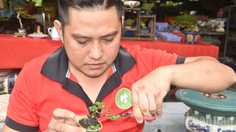 Chăm sóc, cắt tỉa bonsai siêu nhỏ. ndo_br_4-5884.jpg