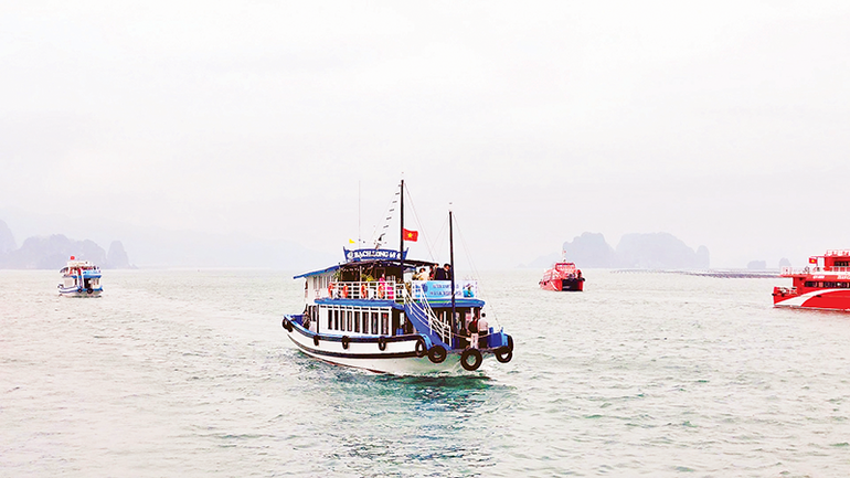 Tàu du lịch chở khách tham quan Vịnh Bái Tử Long. van-1.png