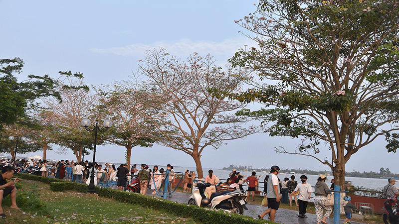 Mỗi ngày có hàng nghìn người đến khu vực này, đặc biệt là ngày cuối tuần.