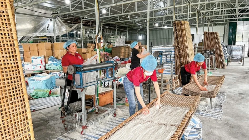 Nguồn vốn tín dụng chính sách giúp người dân Hà Nam phát triển sản xuất, kinh doanh, tạo nhiều việc làm ổn định.