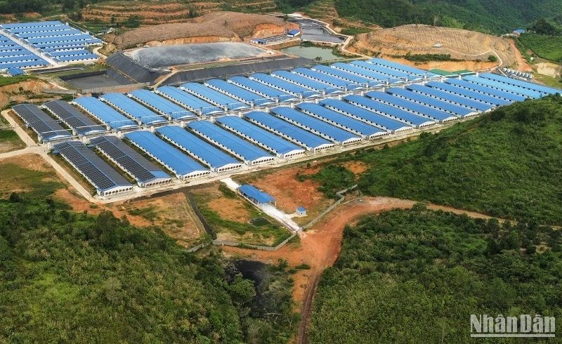 Qua công tác thanh tra, Sở Tài nguyên và Môi trường Đắk Nông đã tham mưu Chủ tịch Ủy ban nhân dân tỉnh quyết định xử phạt nhiều trại nuôi heo trên địa bàn vì vi phạm quy định bảo vệ môi trường.