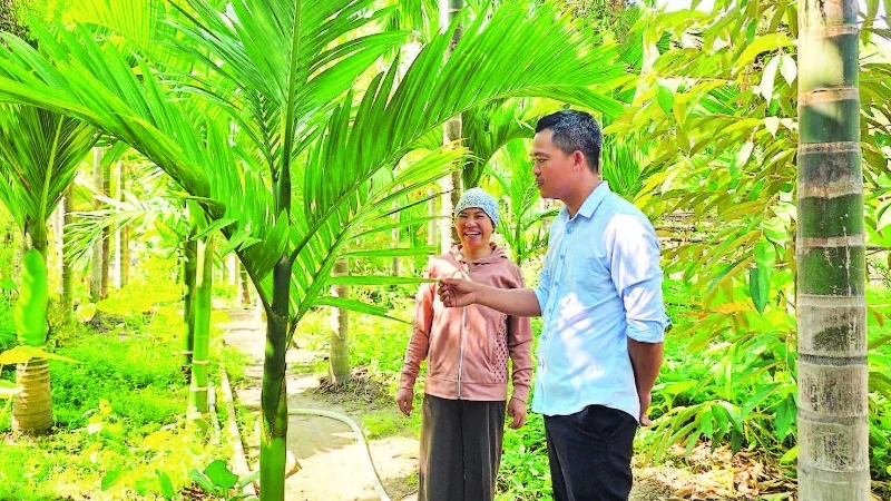 Chị Thủy bên vườn cau của gia đình.