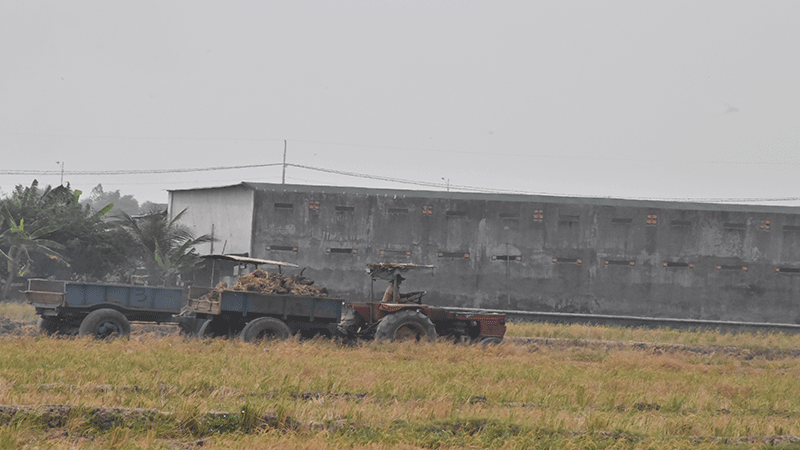 Các xe máy cày liên tục thay nhau chở đất trái phép ở ấp 2, xã Gia Thuận, huyện Gò Công Đông, tỉnh Tiền Giang.