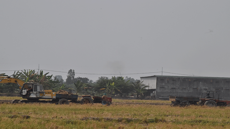 Hoạt động khai thác đất mặt ruộng trái phép diễn ra như công khai ở ấp 2, xã Gia Thuận, huyện Gò Công Đông, tỉnh Tiền Giang.