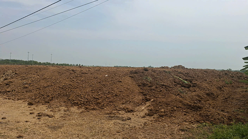 Đất khai thác được chứa thành đống cao tại ấp 2, xã Gia Thuận, huyện Gò Công Đông, tỉnh Tiền Giang.