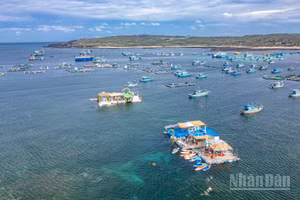 Nằm ở vùng biển phía đông đảo Phú Quý, Bãi Cạn là khu vực rạn san hô có mực nước tương đối nông và hiền hòa.
