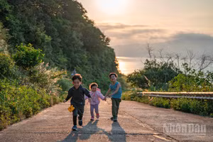 [Video] Hành trình "săn" hoàng hôn Sơn Trà và cuộc hội ngộ bất ngờ với "Nữ hoàng linh trưởng" 