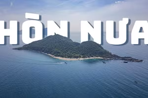 [POV] Khám phá "thuỷ cung" khổng lồ của đảo ngọc dưới chân đèo Cả