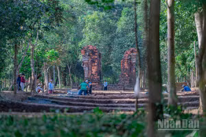 Toàn cảnh khu vực "con đường thiêng" vừa phát lộ tại Thánh địa Mỹ Sơn.