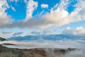 Khung cảnh đầy mê hoặc của biển mây Y Tý những ngày này.