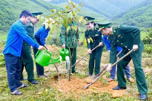 Cán bộ, chiến sĩ biên phòng và đoàn viên thanh niên Nghệ An trồng cây dịp Tháng Thanh niên vừa qua.