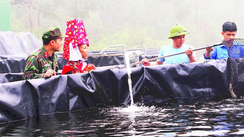 Bộ đội Lâm trường 156 (Đoàn Kinh tế-Quốc phòng 327, Quân khu 3) giúp gia đình anh Vũ Bá Luân ở bản Phật Chỉ, xã Hoành Mô (tỉnh Quảng Ninh) phát triển mô hình nuôi cá tầm nước lạnh.