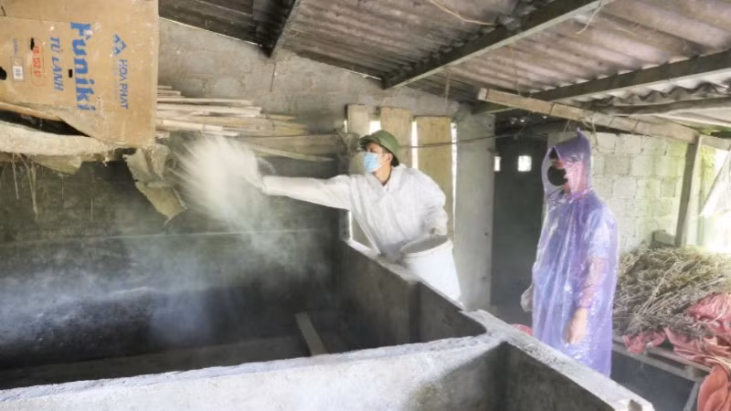 Cán bộ Trạm Chăn nuôi, thú y và Thủy sản khu vực 7 tiêu độc, khử trùng chuồng trại chăn nuôi tại xã Quản Bạ.