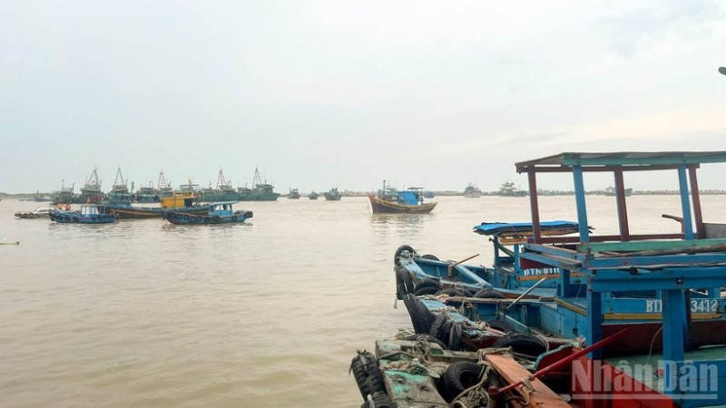 Công tác ứng phó bão số 13 được triển khai khẩn trương, đồng bộ tại các địa phương ven biển Lâm Đồng.