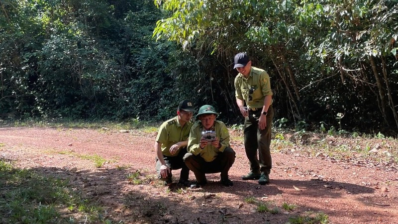 Nhân viên kiểm lâm Khu Bảo tồn-Thiên nhiên-Văn hóa Đồng Nai tuần tra rừng.