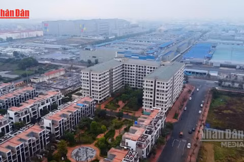 [Video] Cho thuê căn hộ ngắn ngày trong chung cư tại Thành phố Hồ Chí Minh phải đăng ký hoạt động