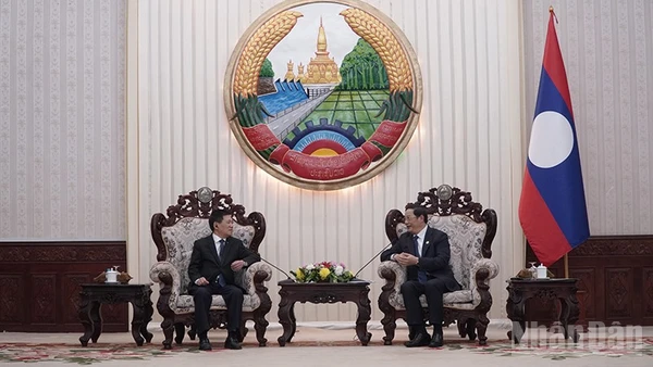 Phó Thủ tướng Hồ Đức Phớc hội kiến Thủ tướng Chính phủ Lào Sonexay Siphandone. (Ảnh: DUY TOÀN)