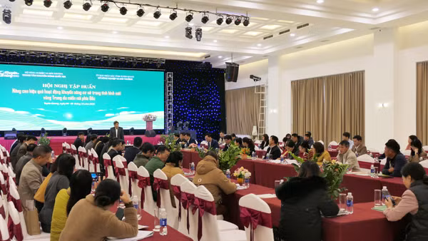 Toàn cảnh lớp tập huấn.