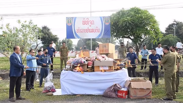 Tiêu hủy ma túy tại tỉnh Sayaboury (Bắc Lào). (Ảnh: PASAXON)