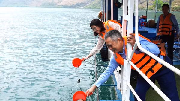 Thả cá giống tái tạo nguồn lợi thủy sản tại lòng hồ thủy điện Nho Quế 1.