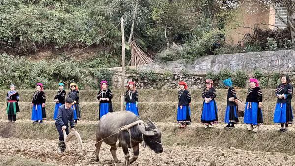 Sau nghi lễ Pặt Oong, người dân tộc Pu Péo, thôn Chúng Trải, xã Phố Bảng bước vào vụ gieo trồng mới.