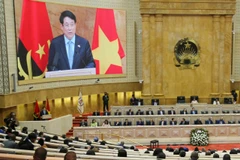Chủ tịch nước Lương Cường phát biểu chính sách tại Quốc hội Angola (ảnh: Xuân Kỳ)
