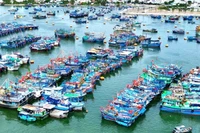 Tàu cá neo đậu tại tại cảng Hòn Rớ để tránh bão.