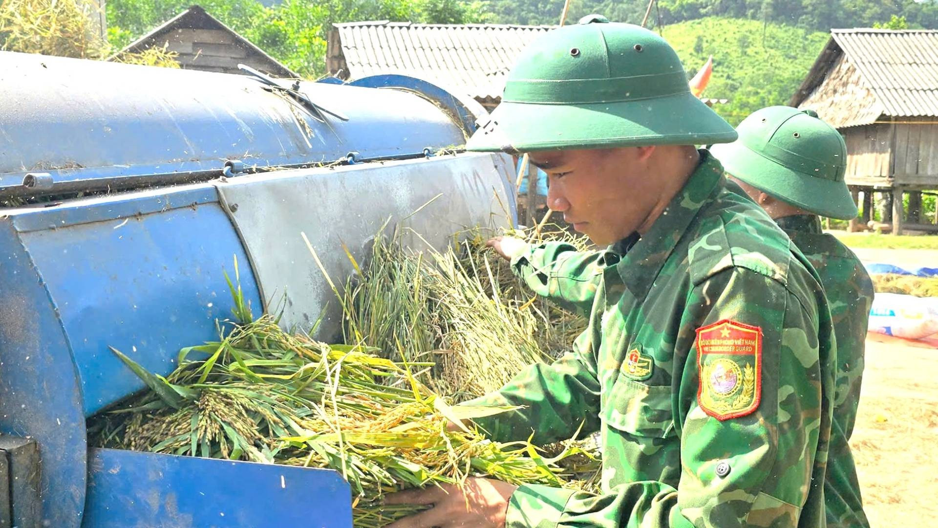 Các chiến sĩ trẻ nhiệt tình vận hành máy tuốt lúa cho đồng bào, chạy đua với trời mưa khu vực biên giới. a3.jpg
