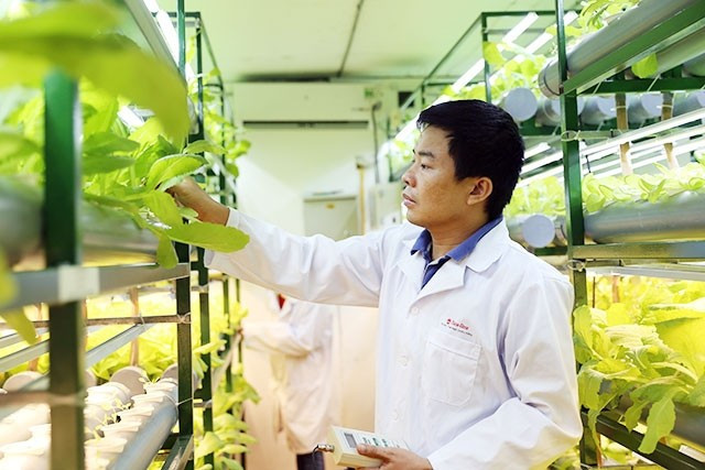 វិស័យកសិកម្មបន្តលើកកម្ពស់ការស្រាវជ្រាវវិទ្យាសាស្ត្រ និងការអនុវត្តរបស់វាក្នុងការស្រាវជ្រាវ ផលិតកម្ម និងការដាំដុះ។ anh-bai-5-1.jpg