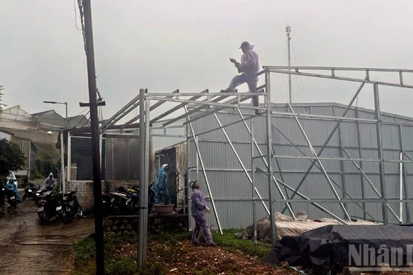 Lực lượng chức năng cưỡng chế, phá dỡ các công trình không có giấy phép xây dựng trên địa bàn phường Xuân Trường-Đà Lạt, tỉnh Lâm Đồng.