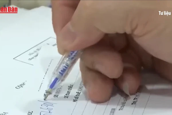 [Video] TP Hồ Chí Minh: Hơn 200 thủ tục hành chính lĩnh vực tài chính được đơn giản hóa