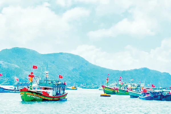 Tàu thuyền của ngư dân tấp nập ở cầu cảng Côn Đảo. (Ảnh PHẠM MỘNG)