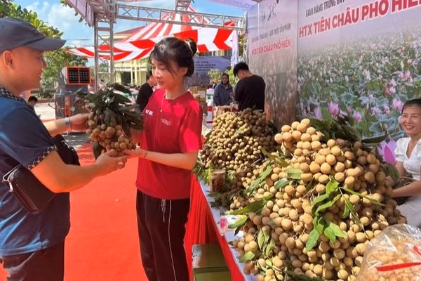 Gian hàng nhãn tại hội nghị xúc tiến thương mại tiêu thụ nhãn tại xã Tân Hưng, tỉnh Hưng Yên. (Ảnh: PHẠM HÀ)