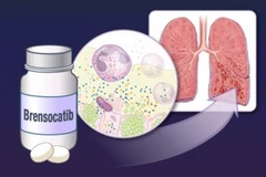 Ảnh minh họa. (Nguồn: TTXVN)