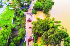 Xử lý sự cố đê điều tại xã Đa Phúc, Hà Nội. (Ảnh: PHẠM HẢI)