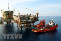 Hoạt động khai thác dầu khí trên vùng mỏ Bạch Hổ. (Ảnh: TTXVN)