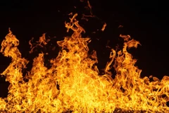 Ảnh minh họa. (Nguổn: TTXVN)