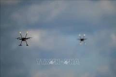 Hình minh họa. (Ảnh: PAP/TTXVN)