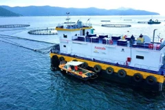 Khu vực nuôi cá chẽm công nghệ cao ở vùng nước sâu vịnh Vân Phong, tỉnh Khánh Hòa. (Ảnh TIẾN MINH)