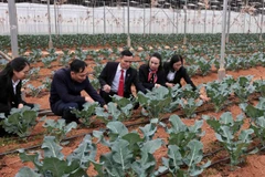 Từ nguồn vốn vay Agribank, Công ty Trọng Nghĩa ở xã Pắc Ta, tỉnh Lai Châu mở rộng sản xuất. (Ảnh: TTXVN)