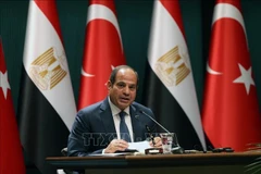 Tổng thống Ai Cập Abdel Fattah al-Sisi. (Ảnh: THX/TTXVN)